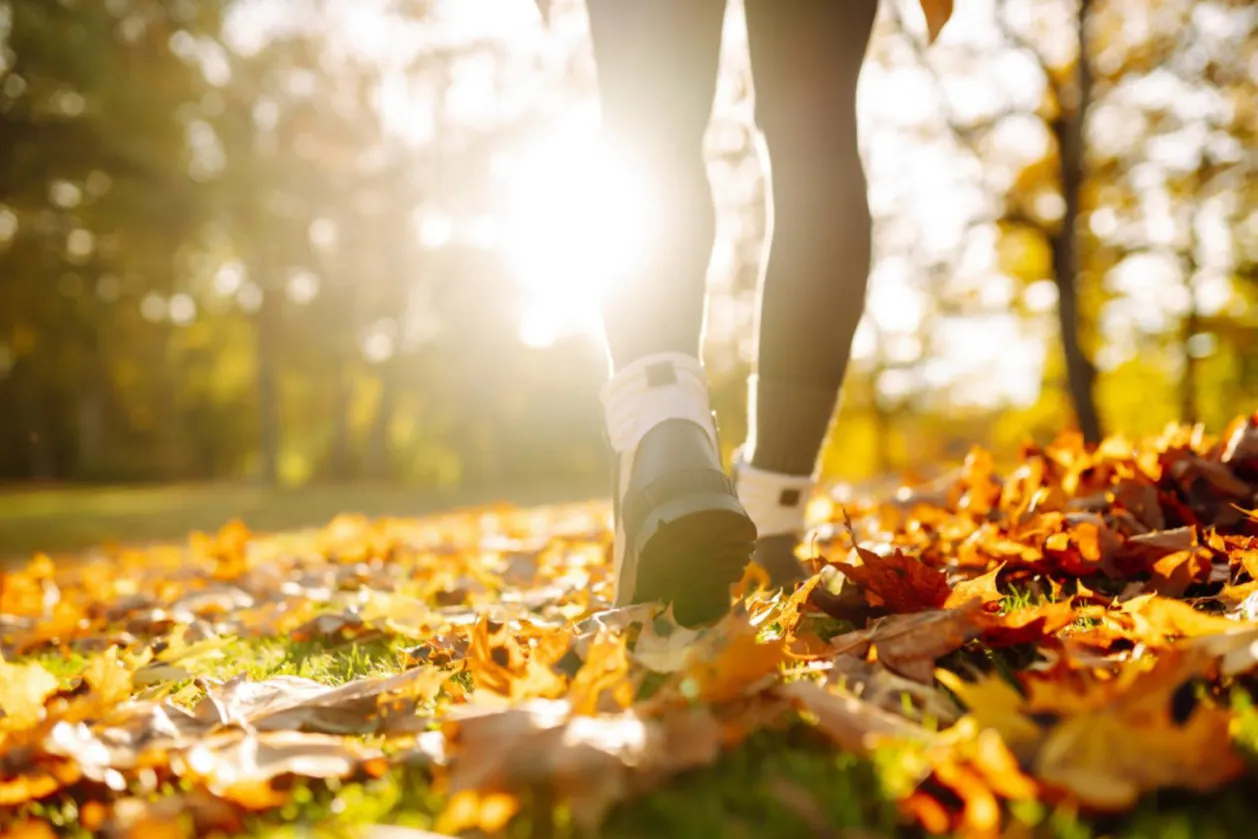 Close-up of female legs in hiking boots walks on ground with yellow-orange dry fall leaves