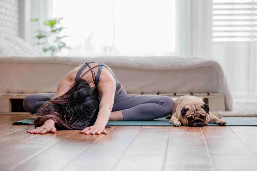 woman with dog on mat practicing yoga intentional space concept