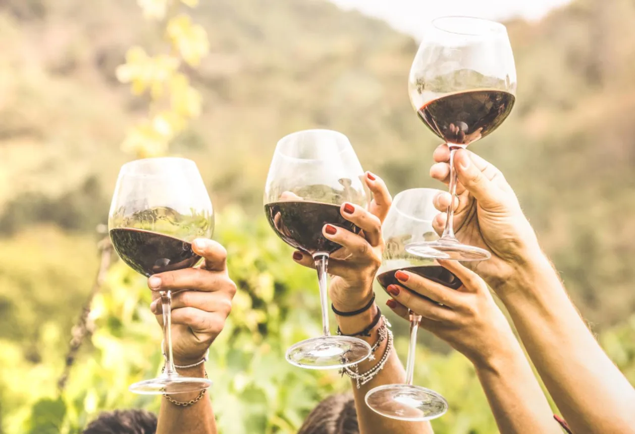 Hands toasting red wine glass