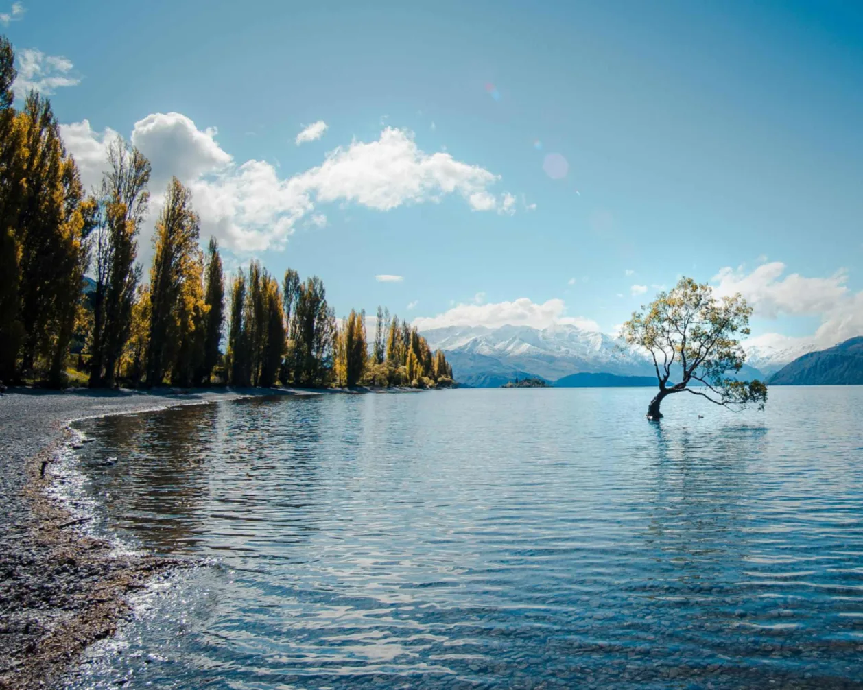 Wanaka New Zealand South Island