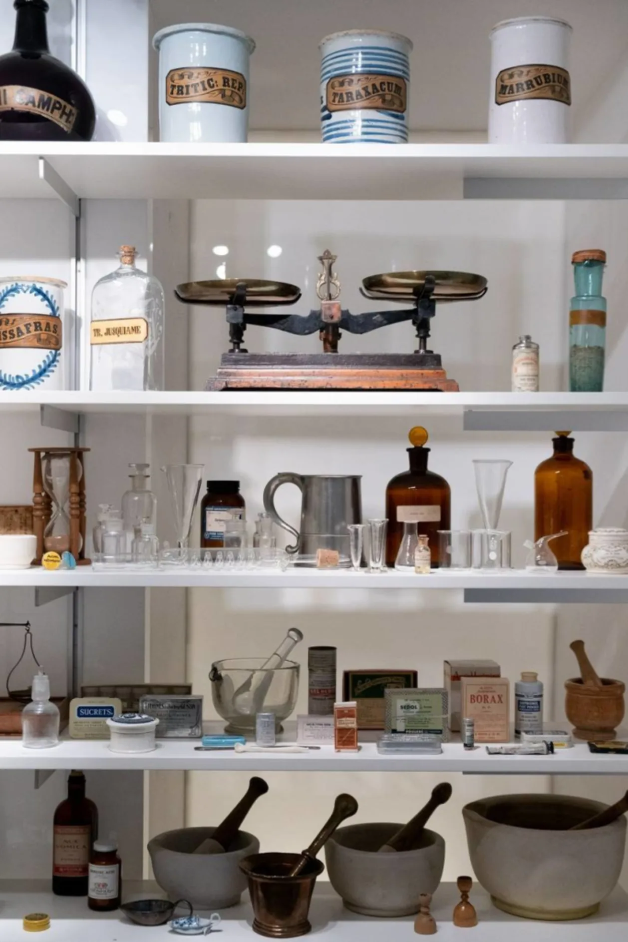 Le Monastère des Augustines cabinet of curiosities