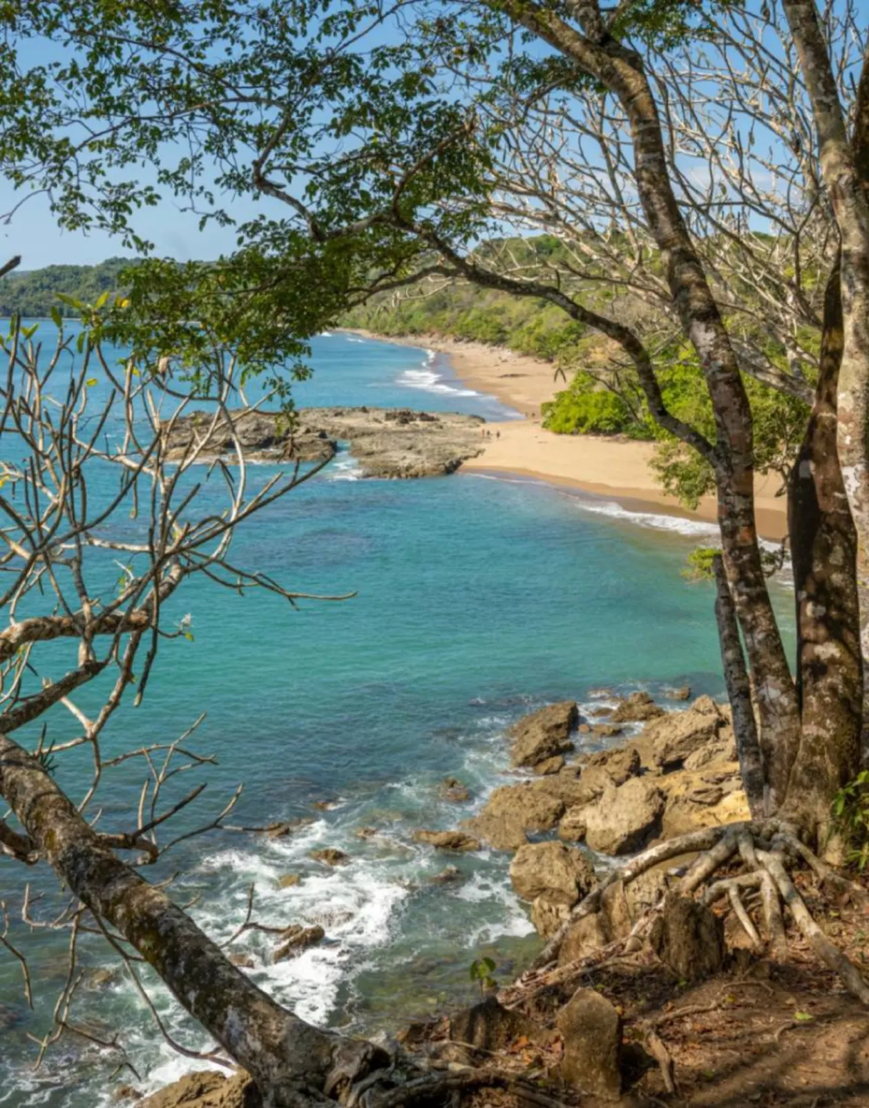 cocita falls nicoya blue zone