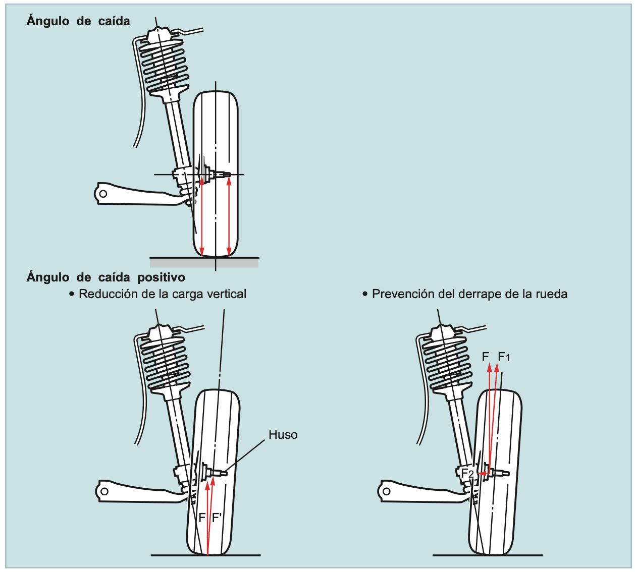 Ángulo de Caída Durante las Curvas