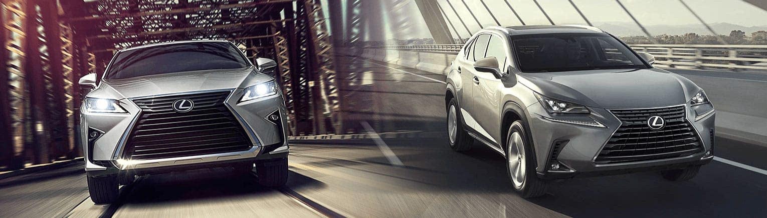 Portada: Lexus NX vs. Lexus RX: ¿Qué SUV es el adecuado para ti?