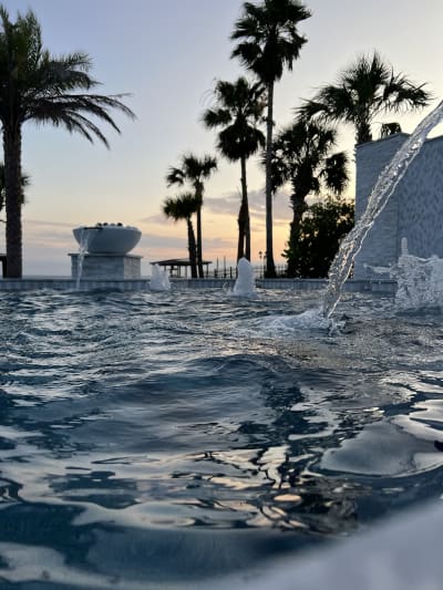 Luxury outdoor swimming pool with palm trees and overhead water feature at the Sheldon Residence in Miramar Beach, FL.
