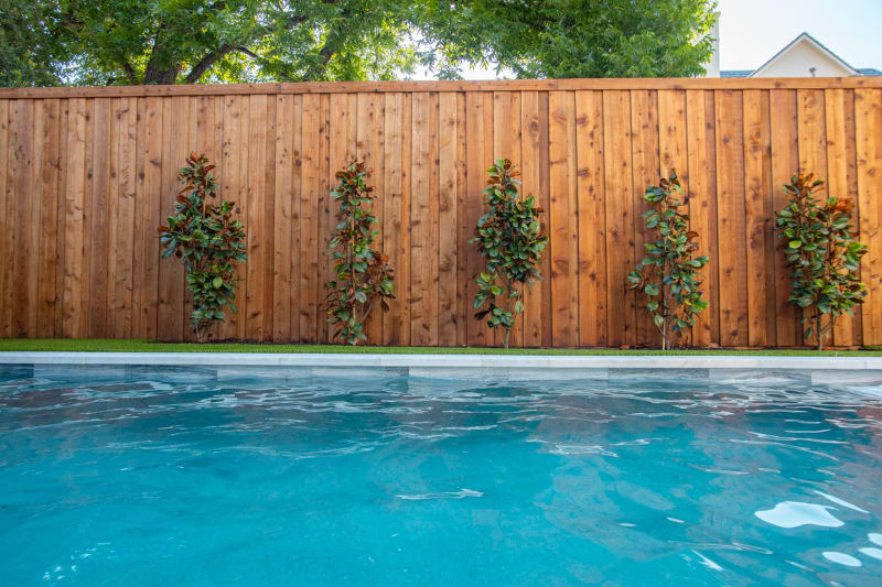 Ground-level view of a geometric swimming pool with brilliant blue water flanked by five evenly spaced columnar trees against a tall cedar privacy fence, with travertine decking and manicured artificial turf at a University Park, TX home