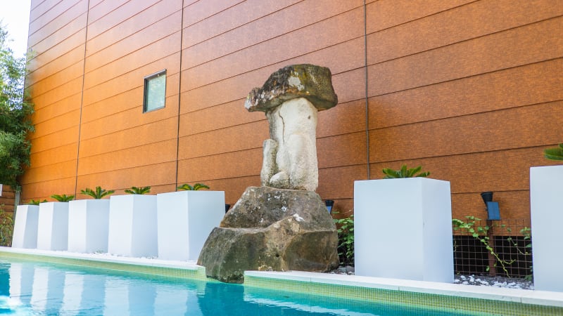 Residential pool project in Dallas, TX, photo 15 of 16