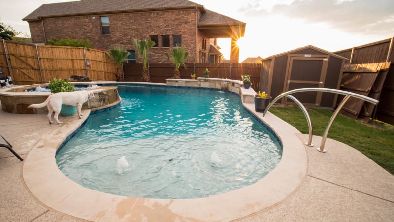 A Family's Wish List, Answered in North Richland Hills — lighting & skimmer — North Richland Hills, TX