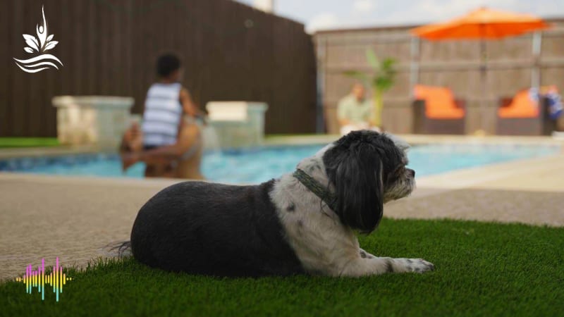 Residential pool project in Arlington, TX, photo 10 of 22