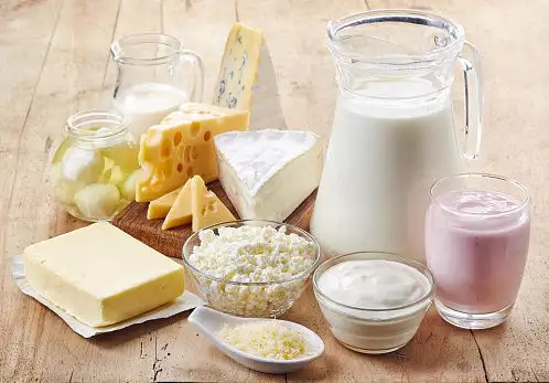 Milk & Milk Products