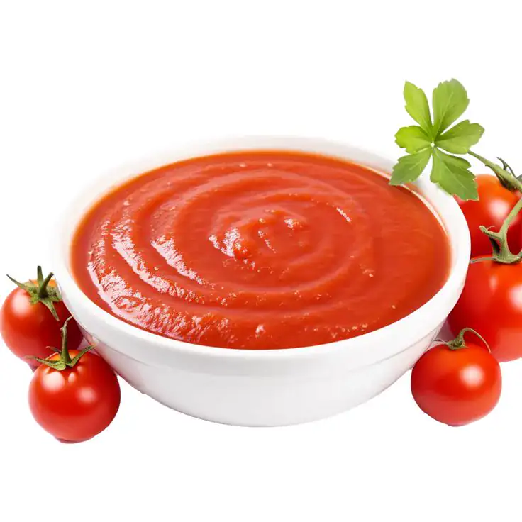 Tomato Ketchup & Purees