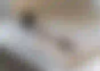 Kontorshotell/Co-working finns att hyra på Burggrevegatan 23a i Göteborg