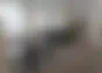 Kontorslokal finns att hyra på Nordenskiöldsgatan 24 i Malmö