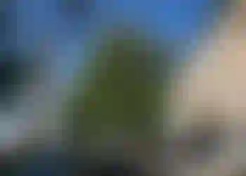 Kontorslokal finns att hyra på Bläsgatan 2 i Göteborg