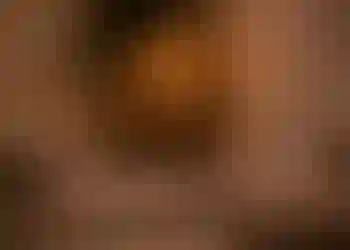 Studio finns att hyra på Völundsgatan 3, 113 21 Stockholm i Stockholm