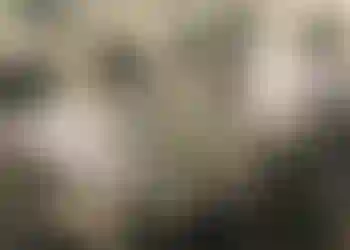 Möteslokal finns att hyra på Wenngarn 443 i Sigtuna