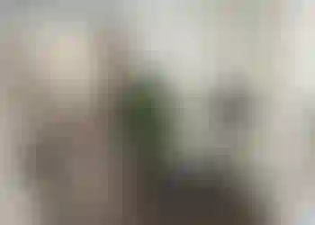 Behandlingsrum finns att hyra på Hornsgatan 158A  i Stockholm