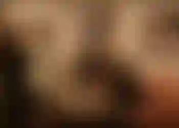 Eventlokal finns att hyra på Birkagatan 31 i Stockholm