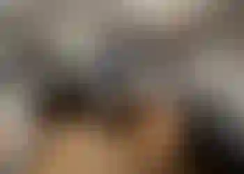 Studio finns att hyra på Kaptensgatan 4 i Stockholm