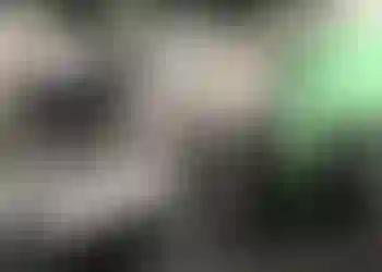 Studio finns att hyra på Kaptensgatan 4 i Stockholm