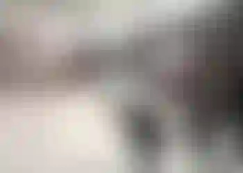 Studio finns att hyra på Kaptensgatan 4 i Stockholm