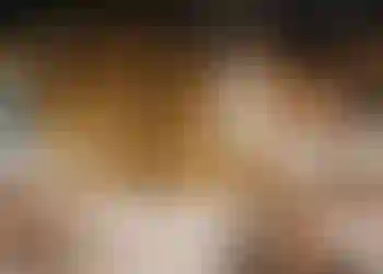 Kontorshotell/Co-working finns att hyra på Gustaf Dalénsgatan 30 i Göteborg