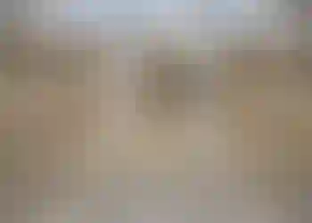 Lager/Logistik finns att hyra på Gustaf Dalénsgatan 19 i Göteborg