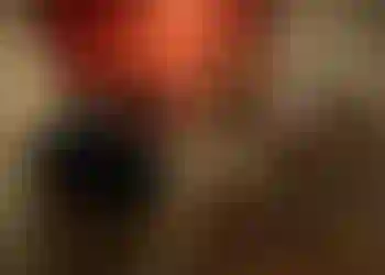 Studio finns att hyra på Rödabergsgatan 11,  i Stockholm