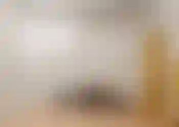 Studio finns att hyra på Rödabergsgatan 11,  i Stockholm