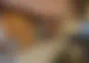 Matsal/Kök finns att hyra på Hallgränd 43 i Stockholm