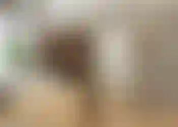 Kontorslokal finns att hyra på Själagårdsgatan 6a i Stockholm