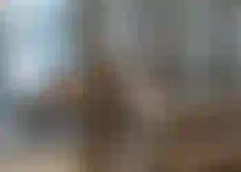 Meeting room finns att hyra på Embassy House - Point Guard, Östgötagatan 12 i Stockholm