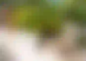 Event venue finns att hyra på Embassy House - Kitchen, Östgötagatan 12 i Stockholm