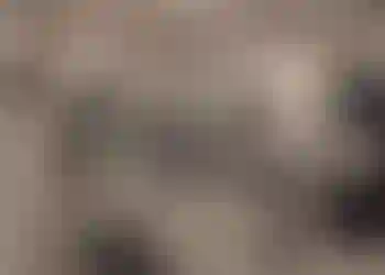 Kontorslokal finns att hyra på sjöhagsvägen 8 i Västerås