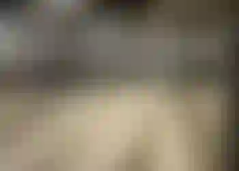 Lager/Logistik finns att hyra på Stenbrovägen 2 i Helsingborg