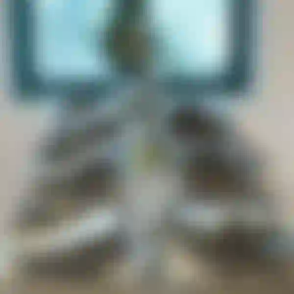 Eventlokal finns att hyra på Skolgatan 45 i Uppsala