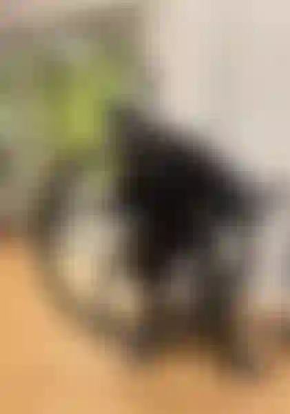 Ateljé finns att hyra på Kolavägen 2a i Alingsås