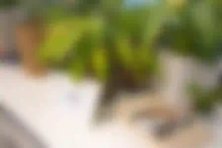 Event venue finns att hyra på Embassy House - Kitchen, Östgötagatan 12 i Stockholm