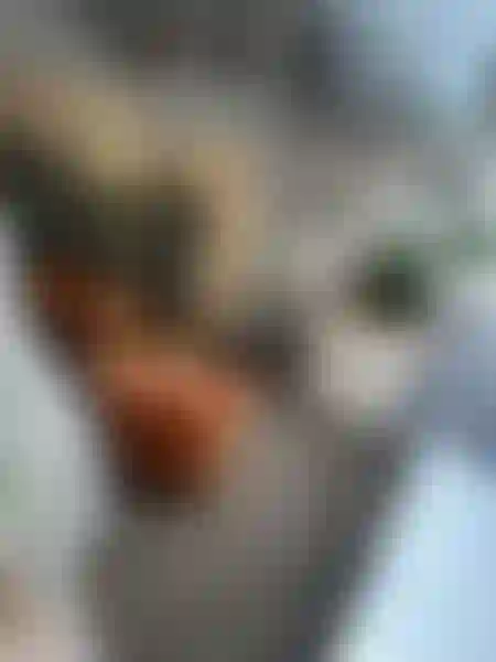 Eventlokal finns att hyra på Odengatan 81 - Hela lokalen i Stockholm