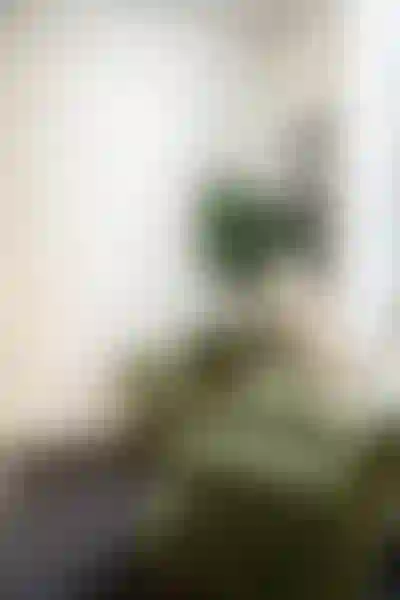 Kontorslokal finns att hyra på Folkungagatan 122 i Stockholm