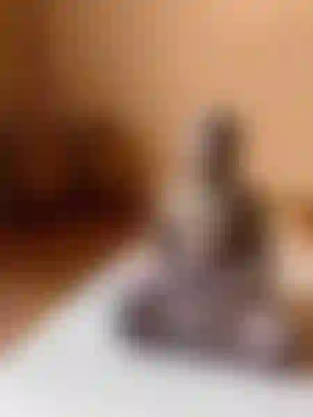 Studio finns att hyra på Birkagatan 23 i Stockholm