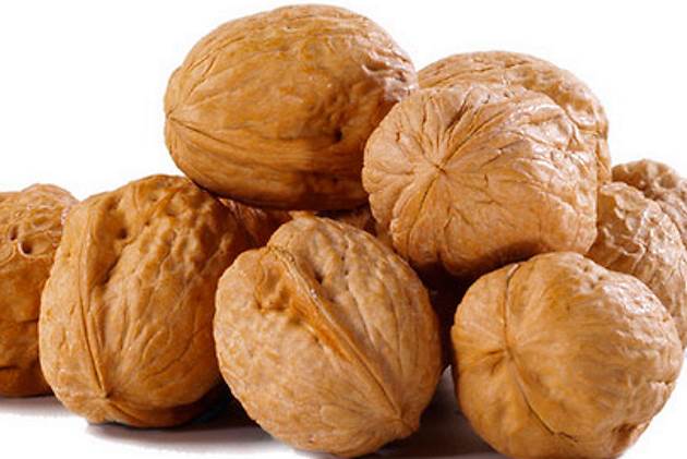 walnut walnut