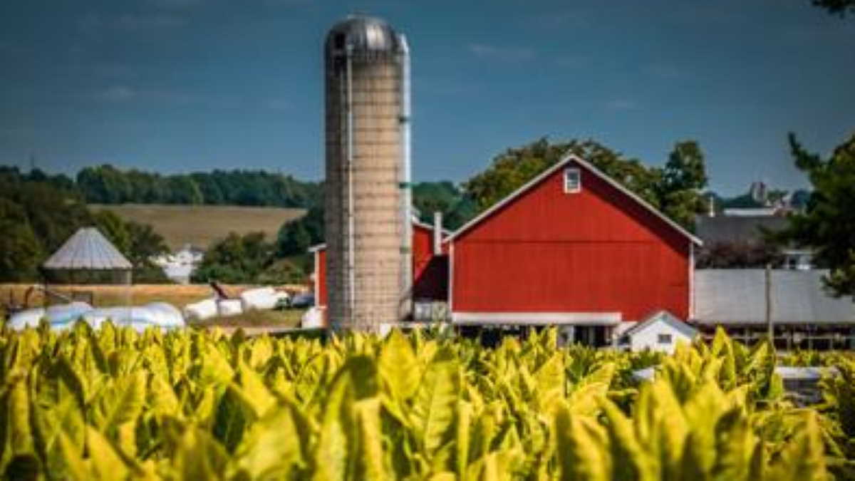 Pennsylvania preserves 21 farms, 1,999 acres safeguarded from future