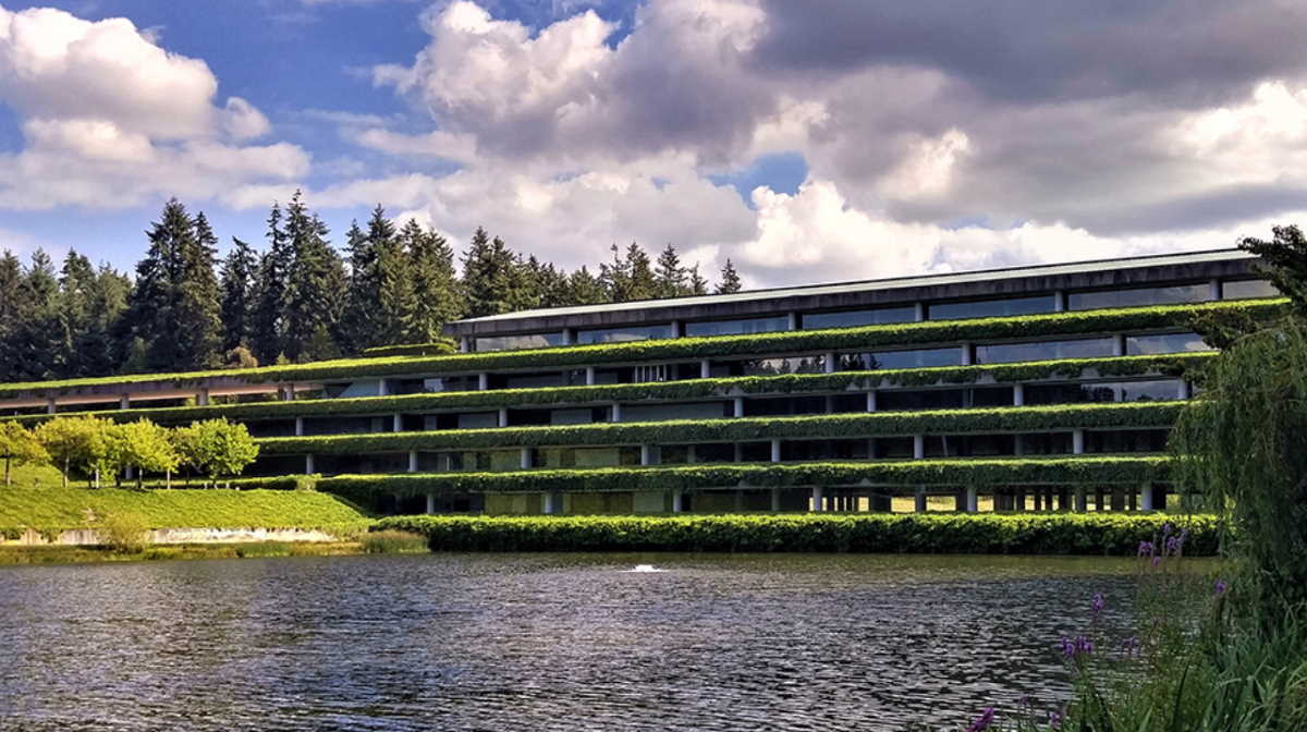 Weyerhaeuser adjusted EBITDA 746 million Earnings POST Online Media