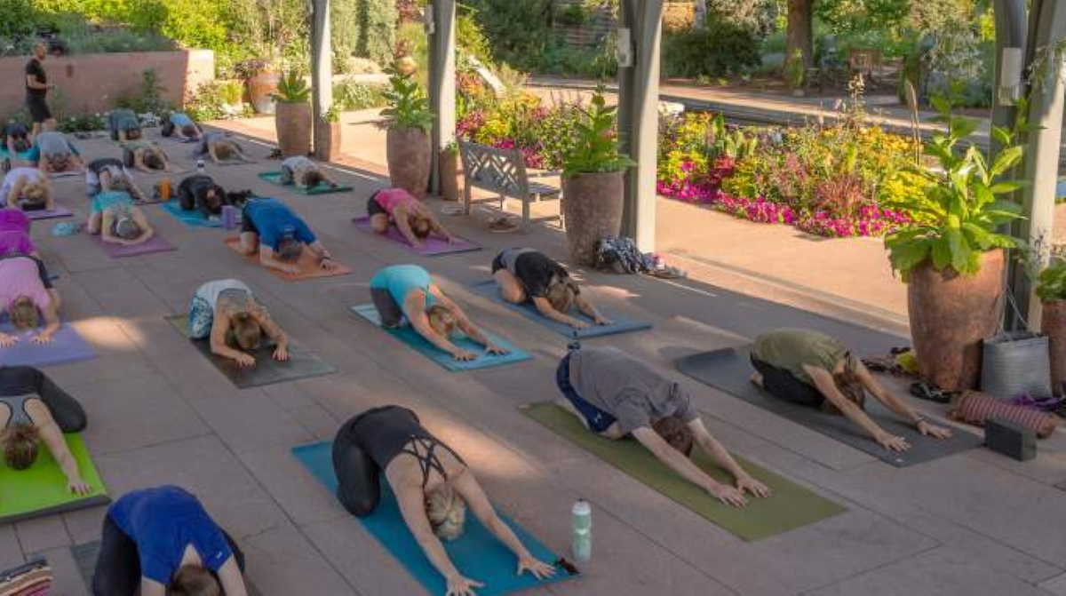 Unique sunrise experience of yoga in botanical garden of Denver, Co