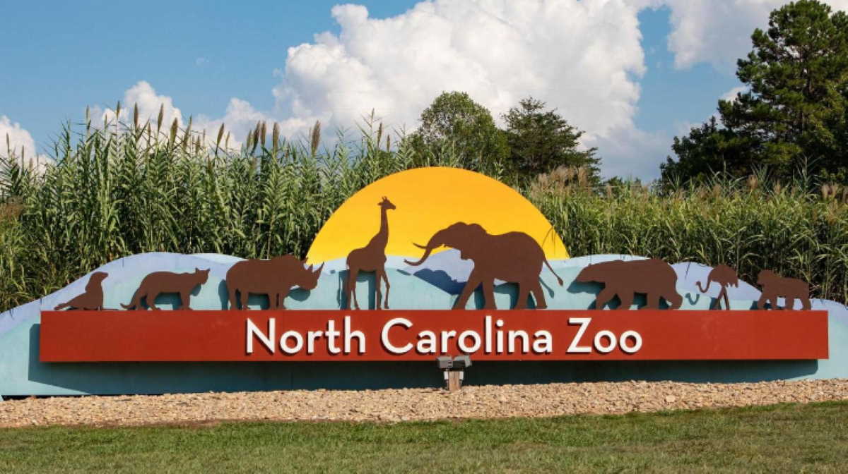 North Carolina Zoo closes aviary to public as precautionary measure to