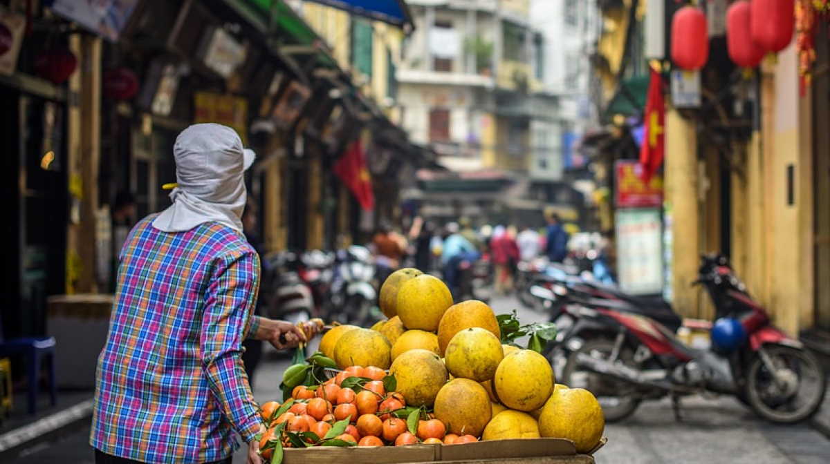 U.S. opens its market to Vietnam's grapefruits Agrifish POST Online