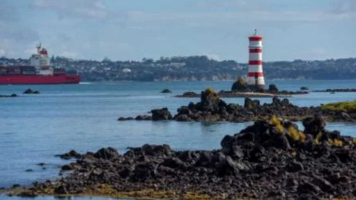 Record rainfall overnight in Auckland causes massive flooding News