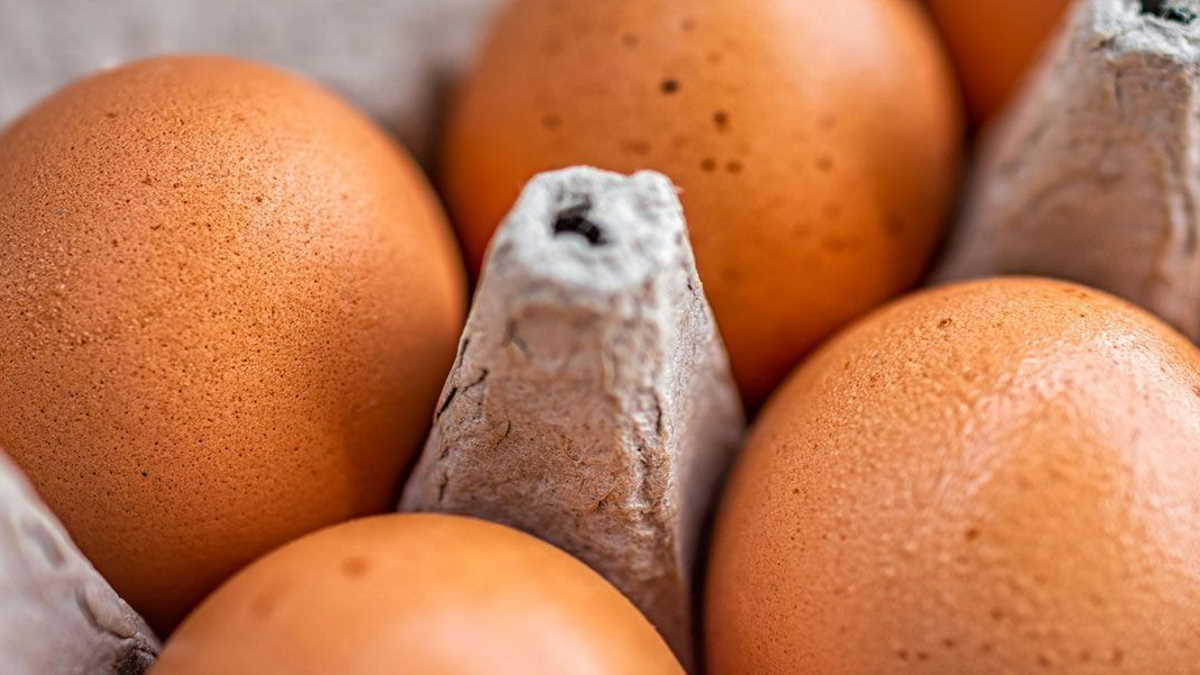 New Zealand suffers egg supply shortage Agrifish POST Online Media