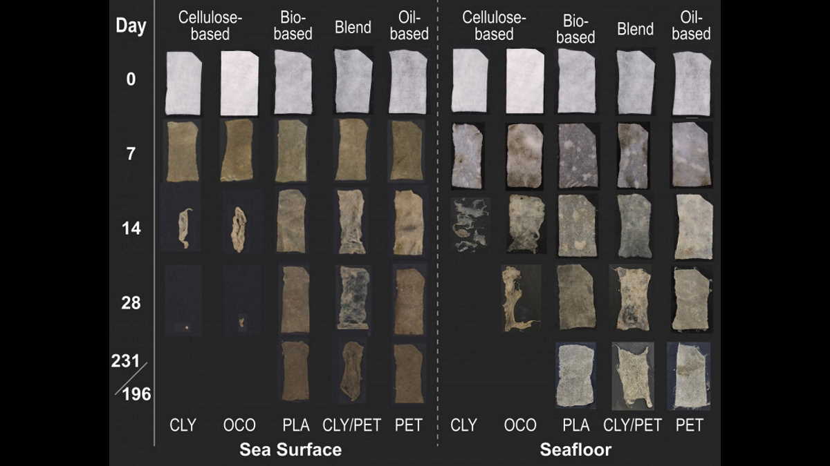 Not so biodegradable Study finds biobased plastic and plasticblend